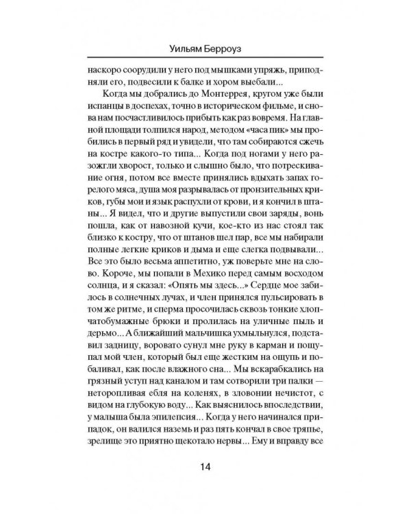 Мягкая машина