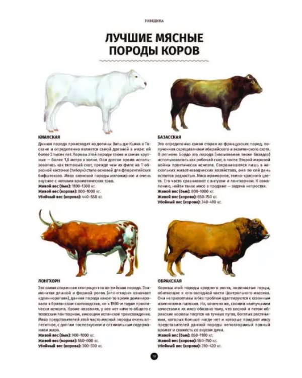 Мясо. Полное иллюстрированное руководство