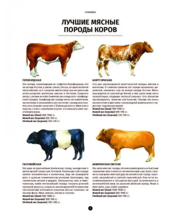 Мясо. Полное иллюстрированное руководство