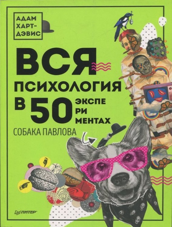 Вся психология в 50 экспериментах. Собака Павлова Вся психология в 50 экспериментах. Собака Павлова