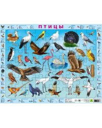 Пазл на подложке. Птицы, 63 элемента