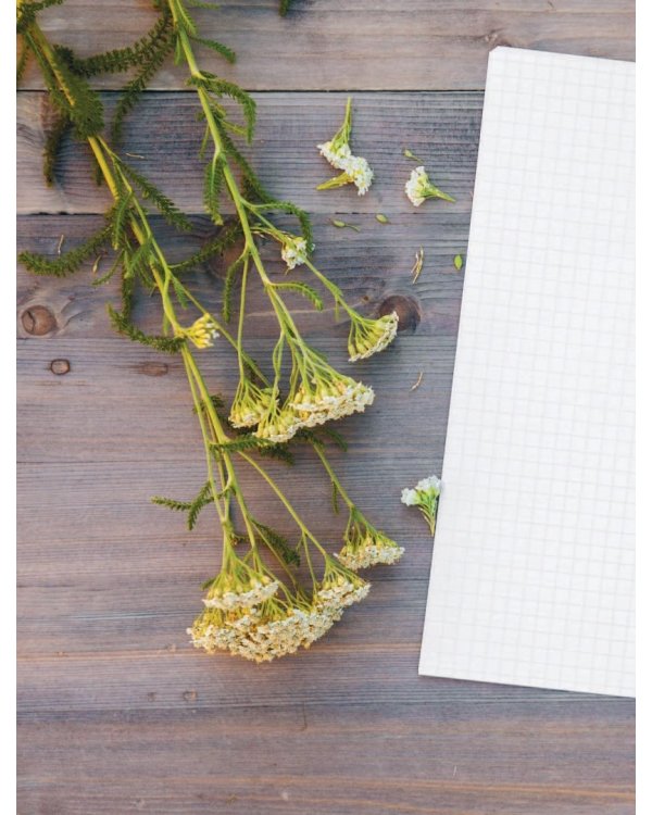 Конфетный период. Очаровательные рецепты домашних конфет, трюфелей и мармелада