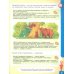 Говори правильно! Тетрадь по развитию речи для детей 5-6 лет. ФГОС ДО
