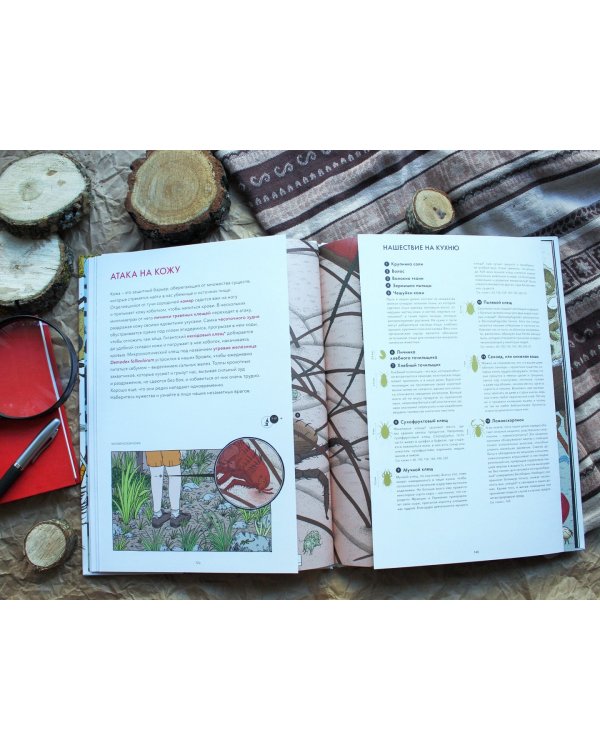 Живой мир под микроскопом