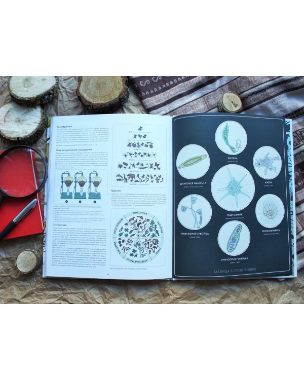 Живой мир под микроскопом