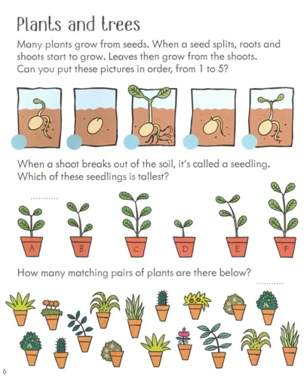 Little Children's Nature Activity Book