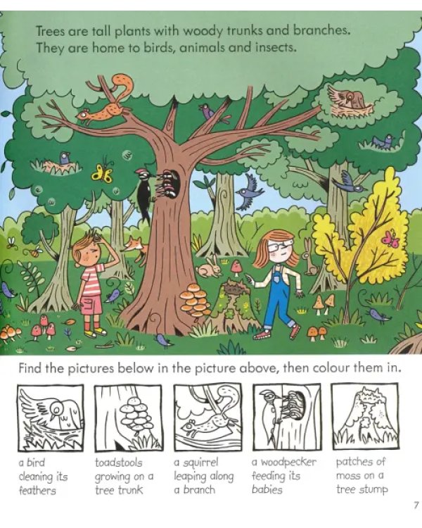 Little Children's Nature Activity Book