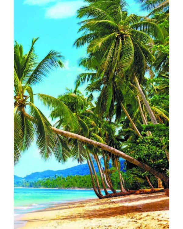 Хоопонопоно. Секреты и рецепты счастья