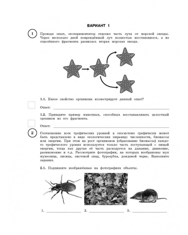 ВПР. Биология. 11 класс. Большой сборник тренировочных вариантов