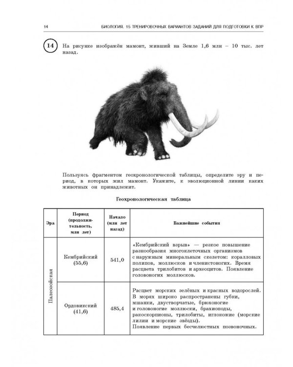 ВПР. Биология. 11 класс. Большой сборник тренировочных вариантов