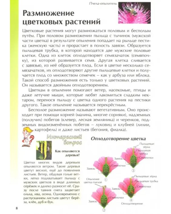 Цветковые растения