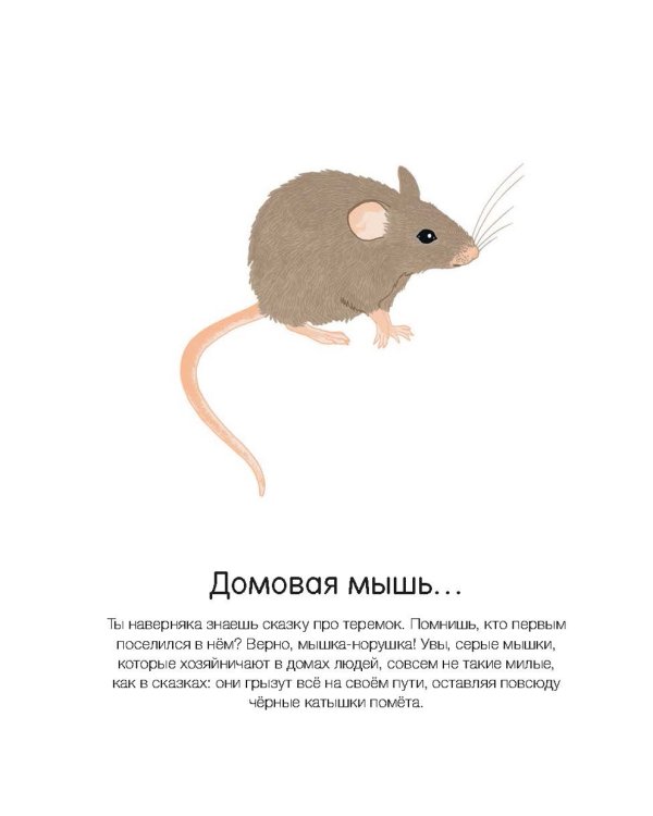 Где они живут?