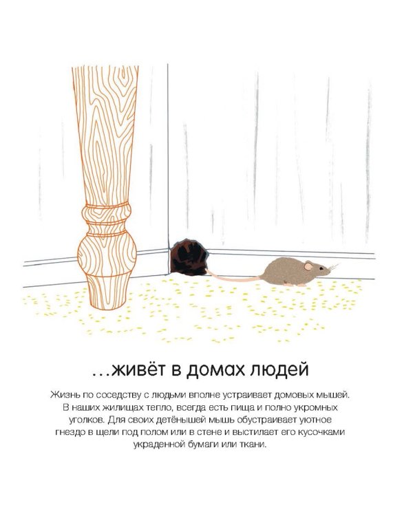 Где они живут?