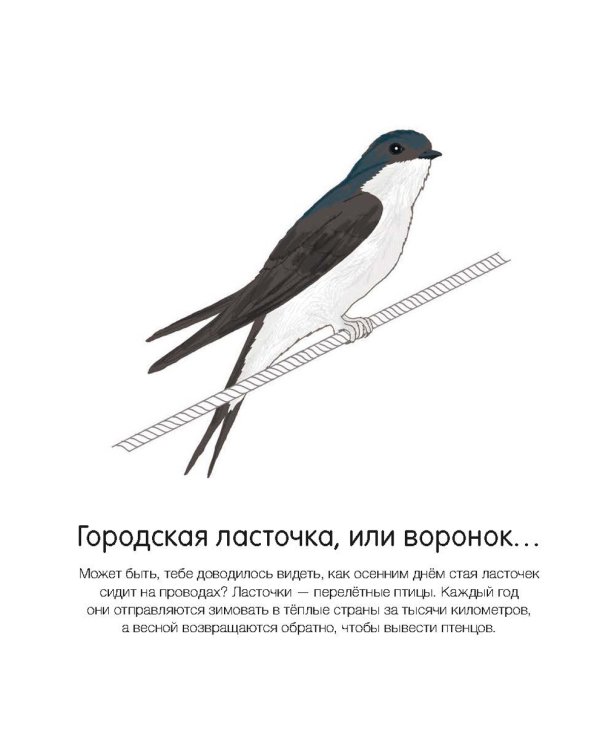 Где они живут?