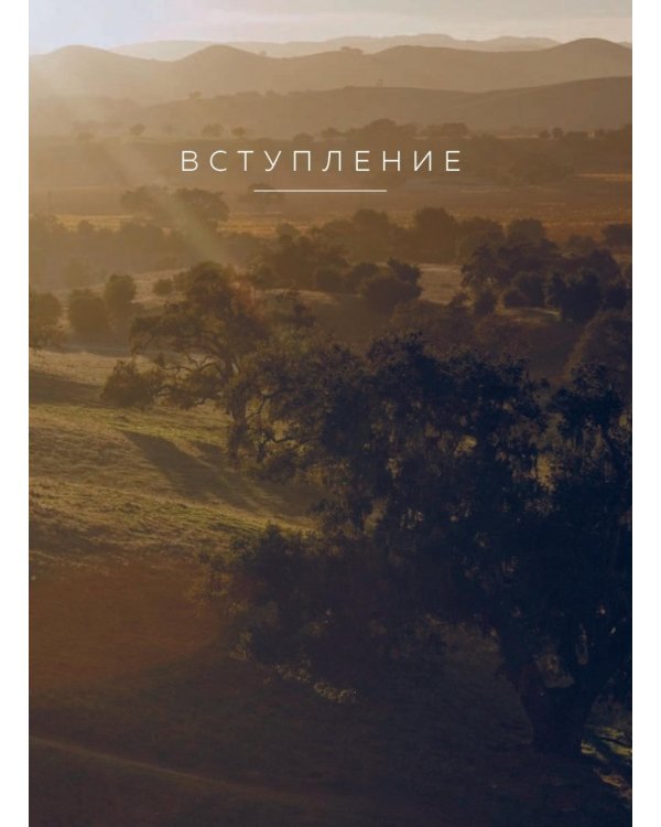 Воскресная мудрость. Озарения, меняющие жизнь