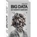 Top Business Awards BIG DATA. Вся технология в одной книге