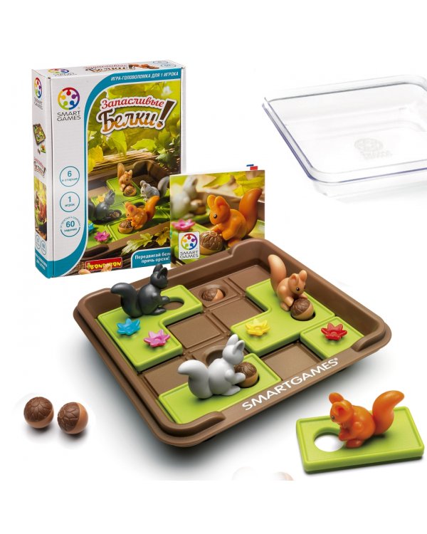 Логическая игра. Запасливые белки
