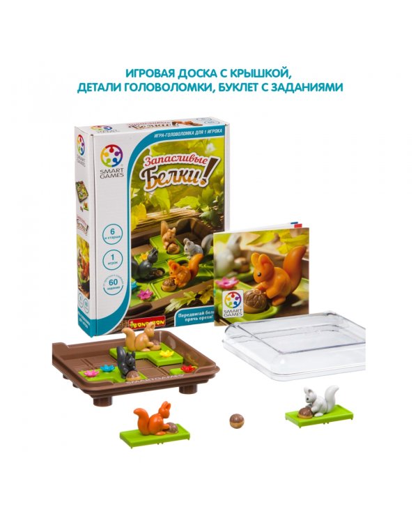 Логическая игра. Запасливые белки