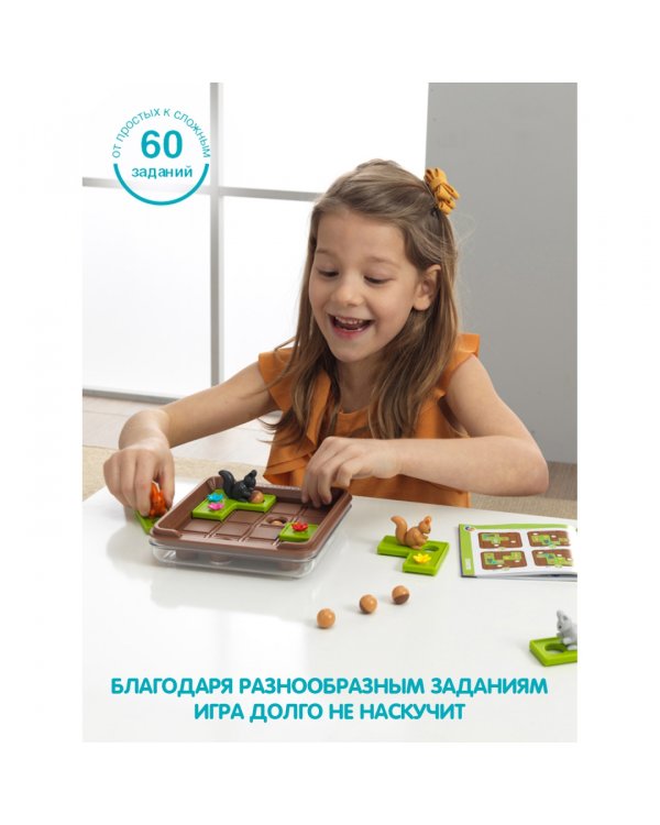 Логическая игра. Запасливые белки