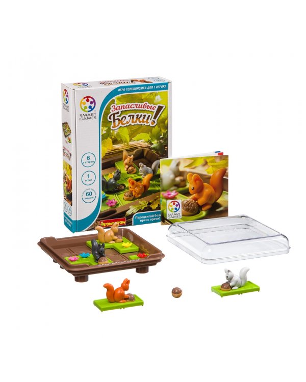 Логическая игра. Запасливые белки