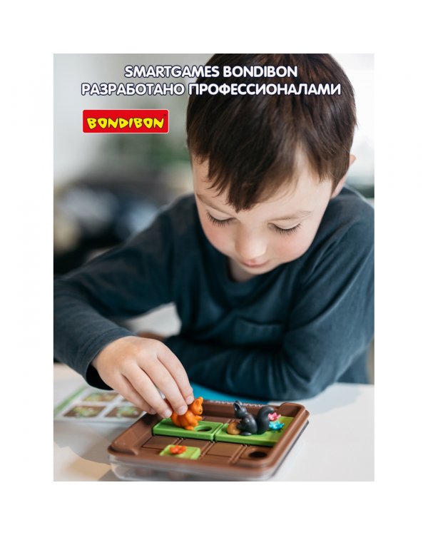 Логическая игра. Запасливые белки