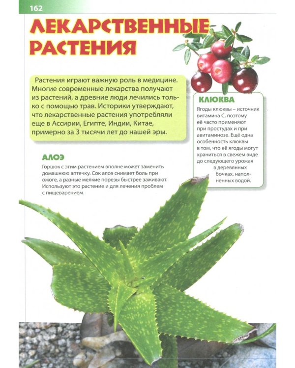Лучшая энциклопедия для будущих отличников