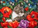 Живопись на холсте. Кот в маках, 30x40 см