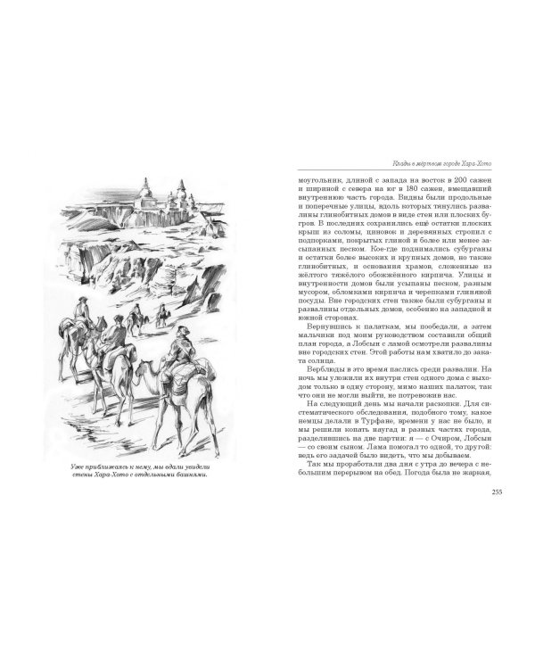 В дебрях Центральной Азии. Записки кладоискателя