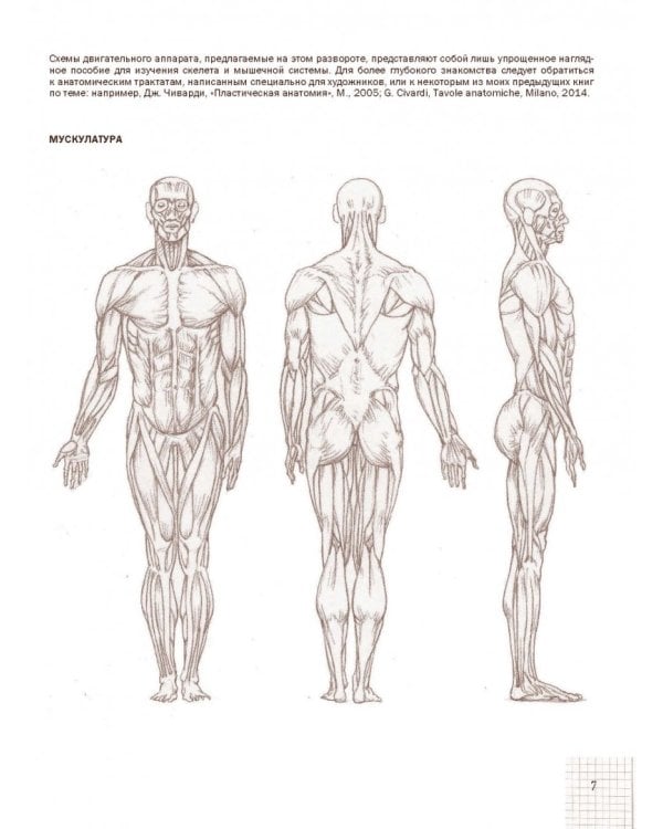 Фигура человека в движении. Рисуем по сеткам