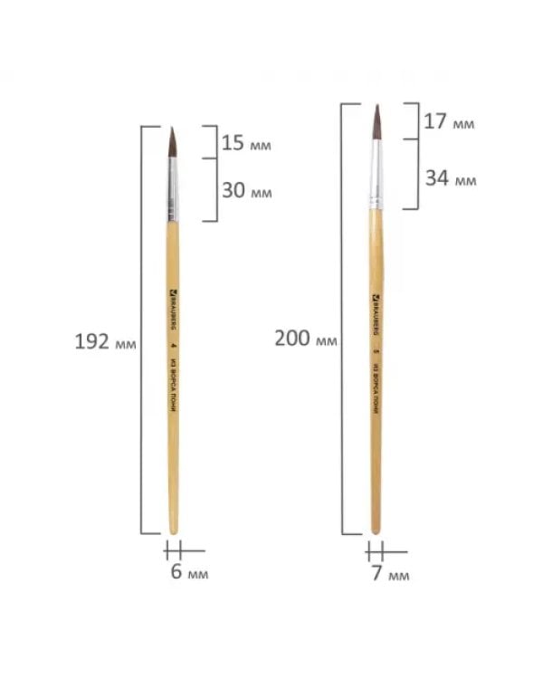Кисти "Brauberg", 5 штук, из ворса пони, круглые, №1, 2, 3, 4, 5