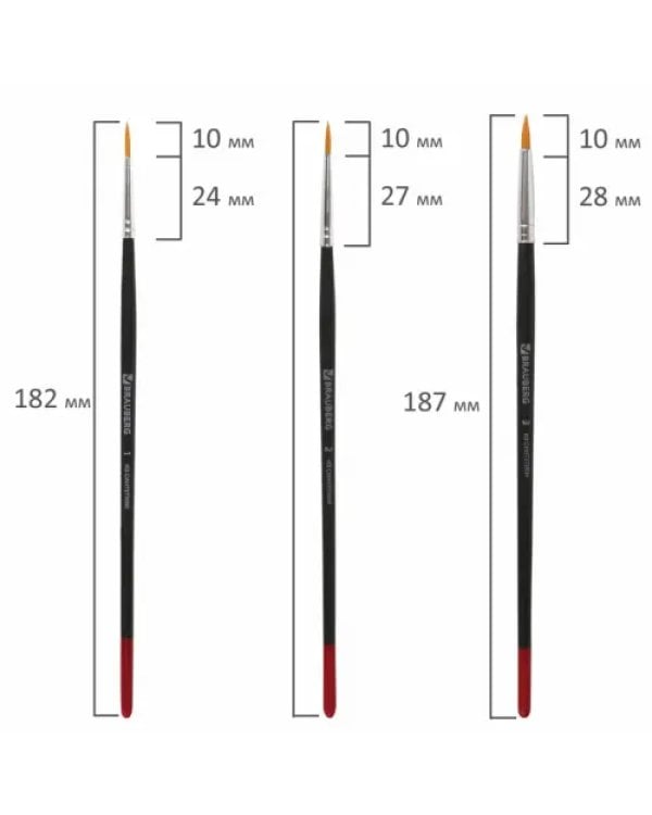 Кисти "Brauberg", 5 штук, синтетические, круглые, №1, 2, 3, 4, 5