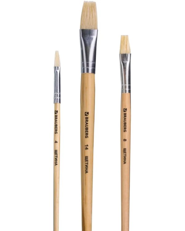 Кисти "Brauberg", 3 штуки, из щетины, плоские №4, 8, 14