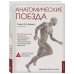 Анатомические поезда Анатомические поезда