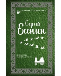 Пускай ты выпита другим