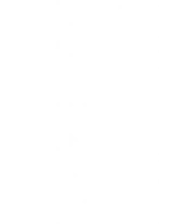 Ссудный день