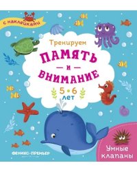 Тренируем память и внимание. 5-6 лет. Книжка с наклейками