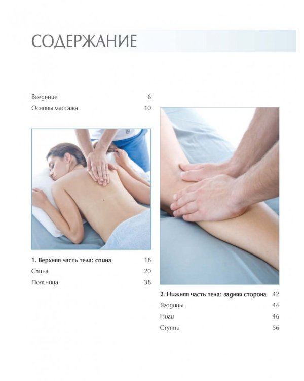 Анатомия массажа. Пошаговый иллюстрированный курс для начинающих