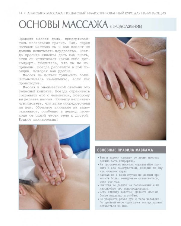 Анатомия массажа. Пошаговый иллюстрированный курс для начинающих