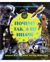 Почему так, а не иначе