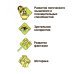 Французские опыты. Науки с Буки. Лаборатория зомби