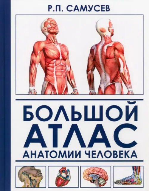 Медицина и здоровье Большой атлас анатомии человека