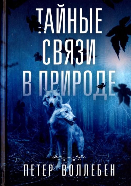 Тайные связи в природе Тайные связи в природе