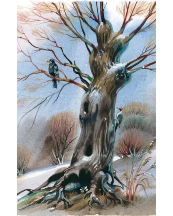 Стихи русских поэтов о животных