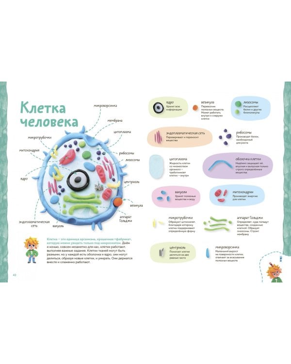 Пластилиновая лаборатория Чевостика 2