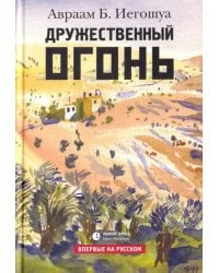 Дружественный огонь