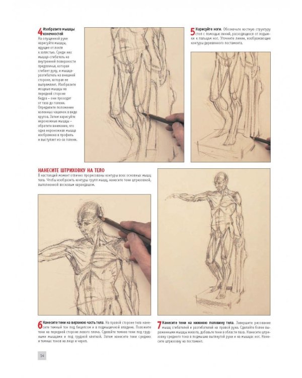 Рисуем портреты в разных техниках. Полный самоучитель