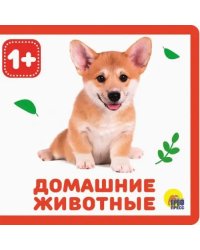 Домашние животные