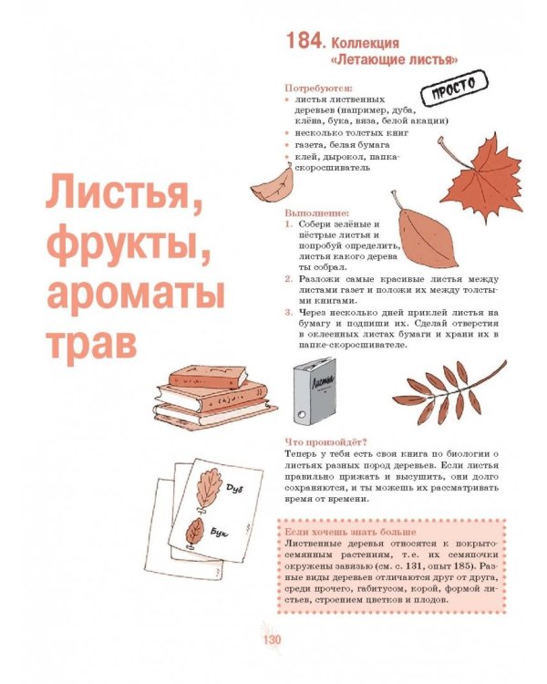 365 экспериментов на каждый день