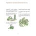 365 экспериментов на каждый день