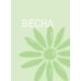 365 экспериментов на каждый день